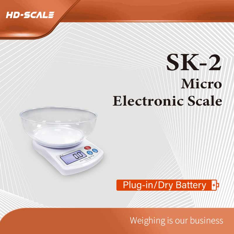 SK-2 微量電子秤